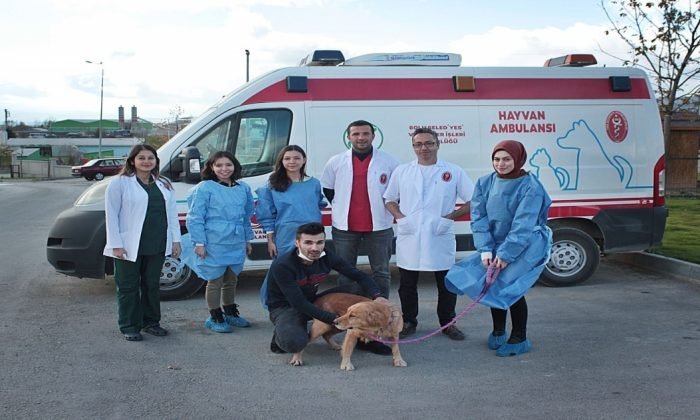 BOLU BELEDİYESİ HAYVAN SEVGİSİ PROJESİ