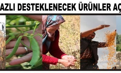 HAVZA BAZLI DESTEKLENECEK ÜRÜNLER AÇIKLANDI