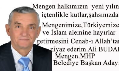 Ali BUDAK MHP Mengen Belediye Başkan Adayı