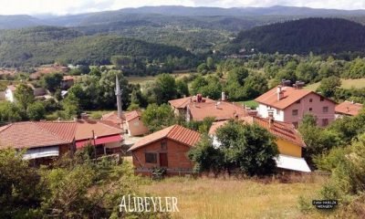 Köylerimiz – Alibeyler –