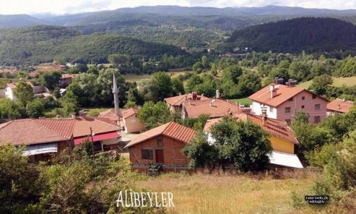 Köylerimiz – Alibeyler –