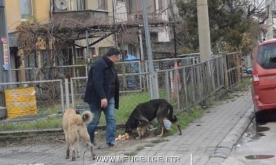 Doga ve Hayvanseverlere Teşekkürler