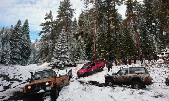 Mengen Dogaseverleri Gezilere Devam Ediyor