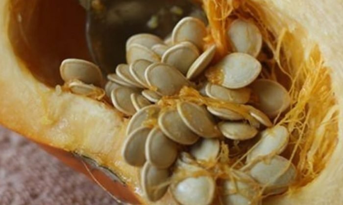 “Kabak Çekirdeği”