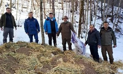 Mengen’de Yaban Hayvanları İçin Doğaya Yem Bırakıldı