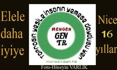 Mengen.Gen.TR 16 YAŞINDA