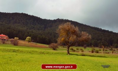 Mengen’den güncel manzaralar