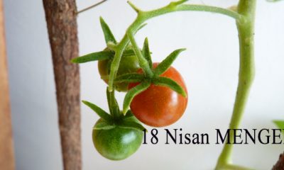 18 Nisan Günün Fotoğrafı