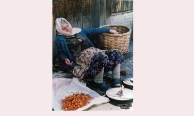 KİRAZCI NİNE