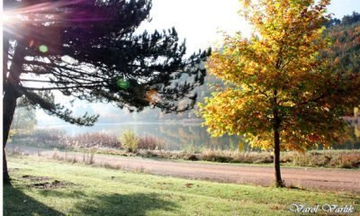 19 Eylül Günün Fotoğrafı