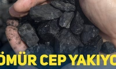 Kömür cep yakıyor