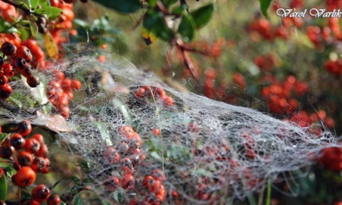 20 Eylül Günün Fotoğrafı