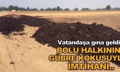 Burası Bolu-Birileri Para Kazanırken, Biz Kokusunu Çekiyoruz!-