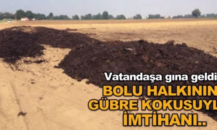 Burası Bolu-Birileri Para Kazanırken, Biz Kokusunu Çekiyoruz!-