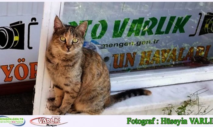 10 Ekim Günün Fotoğrafı