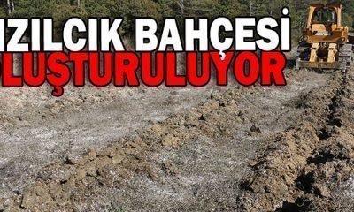 KIZILCIK BAHÇESİ OLUŞTURULUYOR