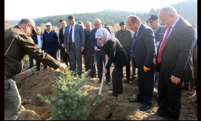 Bugünün Fidanı Yarının Nefesi Olacak