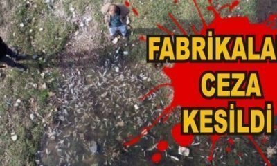 FABRİKALARA CEZA KESİLDİ
