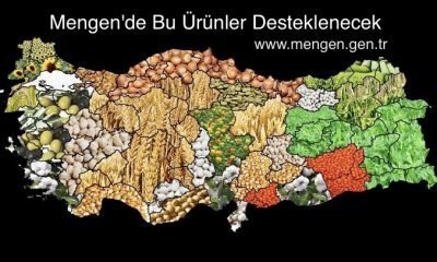 Mengen’de Bu Ürünler Desteklenecek