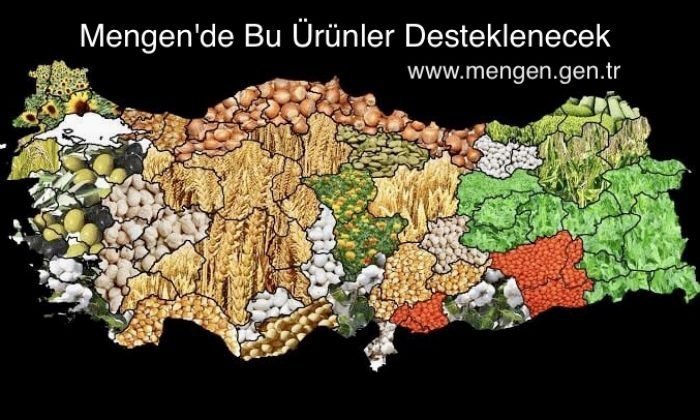 Mengen’de Bu Ürünler Desteklenecek