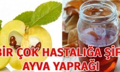 Öksürük, Bronşit, Nefes Darlığı ve Astım İçin Doğal Çare
