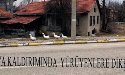 20.02.2020 Günün Fotoğrafı