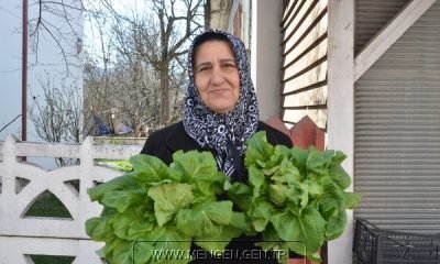 7 Mart Mengen’den Derlemeler