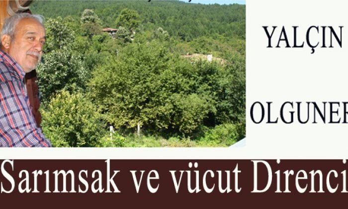 Sarımsak Tüketimi Ve Vücut Direnci