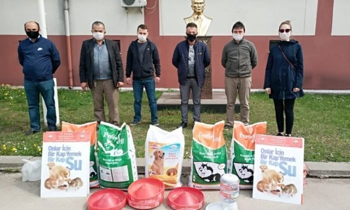 Mengen’de Sokaktaki Canlar Besleniyor