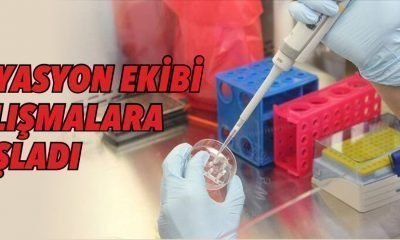 Filyasyon Ekipleri Çalışmalara Başladı – Bolu İçin 40 Kişi