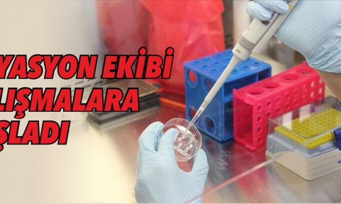 Filyasyon Ekipleri Çalışmalara Başladı – Bolu İçin 40 Kişi