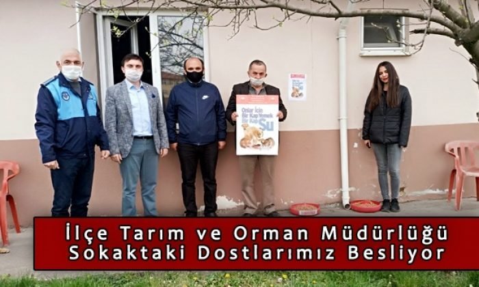 İlçe Tarım ve Orman Müdürlüğü Sokaktaki Dostlarımız Besliyor