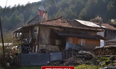Doğaya Dönelim