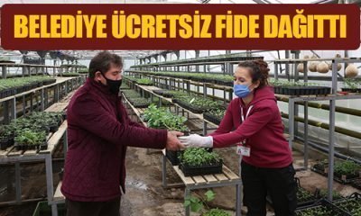 Belediye Ücretsiz Fide Dağıttı