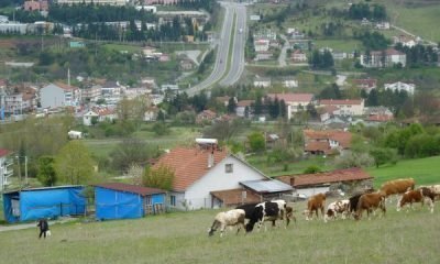 Mengen ve Doğamızdan