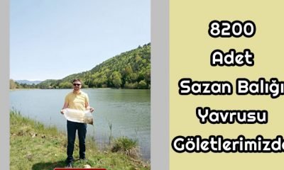 8200 Adet Sazan Balığı Yavrusu İlçemiz Göletleriyle Buluştu