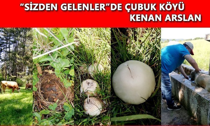 Sizden Gelenler – Çubuk Köyü’nden Fotoğraflar – Kenan Arslan