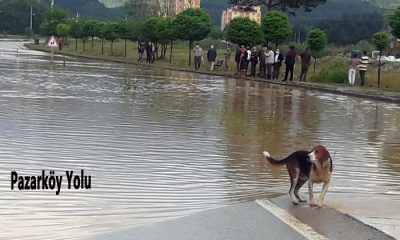 Mengen’de yağmurla beraber selde geldi
