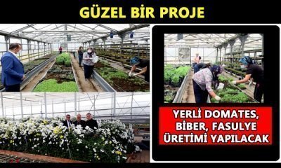 Belediyeler Arası Güzel Proje