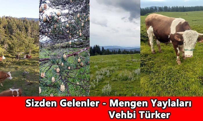 Sizden Gelenler – 1450 Rakımlı Kekik Kokulu Mengen Yaylaları