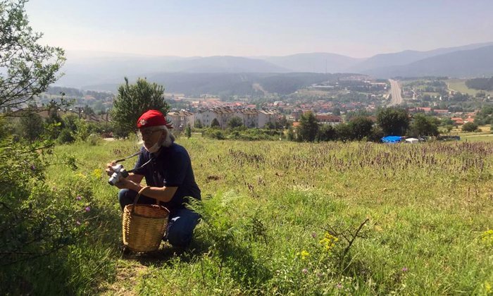 Doğamızdan Pazar Günü Manzaraları