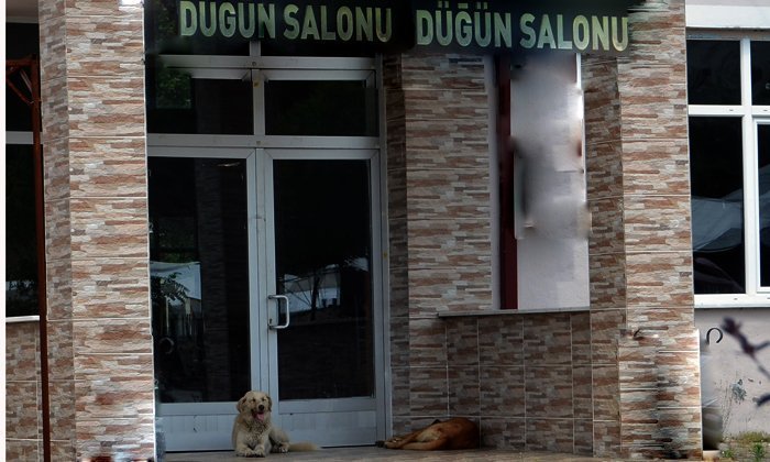 07 Temmuz Günün Fotoğrafı