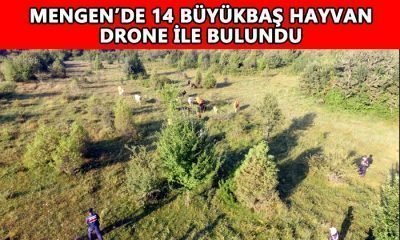 14 Büyükbaş Hayvan Jandarma Tarafından Bulundu