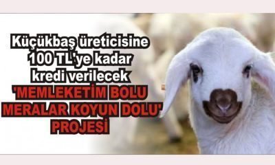MEMLEKETİM BOLU MERALAR KOYUN DOLU’ PROJESİ