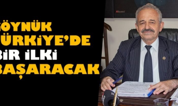 Göynük Türkiye’de Bir İlk İçin Kolları Sıvadı