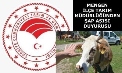 Büyükbaş Hayvanlara Şap Aşısı Duyurusu