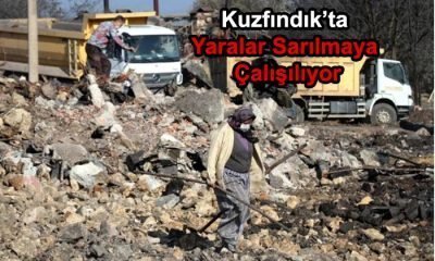 Kuzfındık’ta Yangının Yaraları Sarılmaya Çalışılıyor