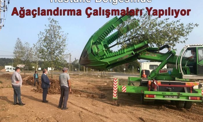 Hastane Bölgesinde Ağaçlandırma Yapılıyor