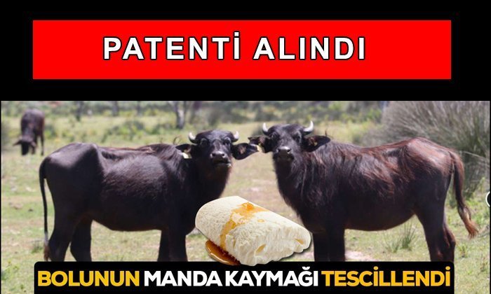 Manda Kaymağının Patenti Artık Bolu