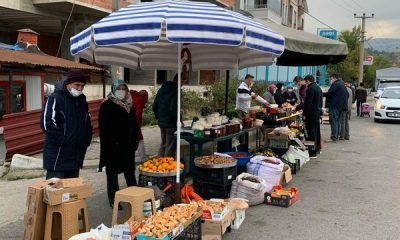 Dörtyol Yol Kenarı Tezgahlarında Başrolde Mantar Var
